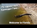 Встреча с Крокодилом Геной Почему нельзя отпускать собак и детей гулять без присмотра Флорида США