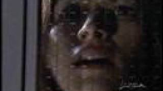 Brooke Langton, The Net
