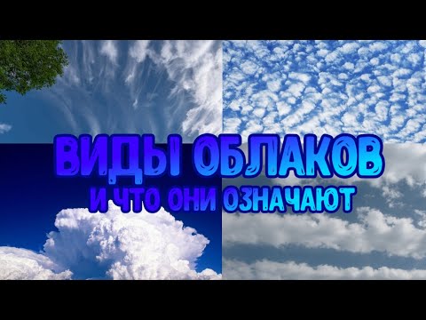 Виды Облаков И Что Они Означают ☁️