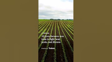 AI gives farmers new tools to fight heat, pests, and disease