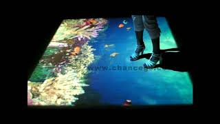 3D Interactive Floor - Under Sea
