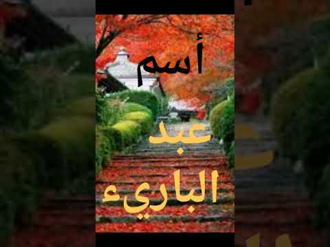 رؤية أسم عبد الباريء في المنام