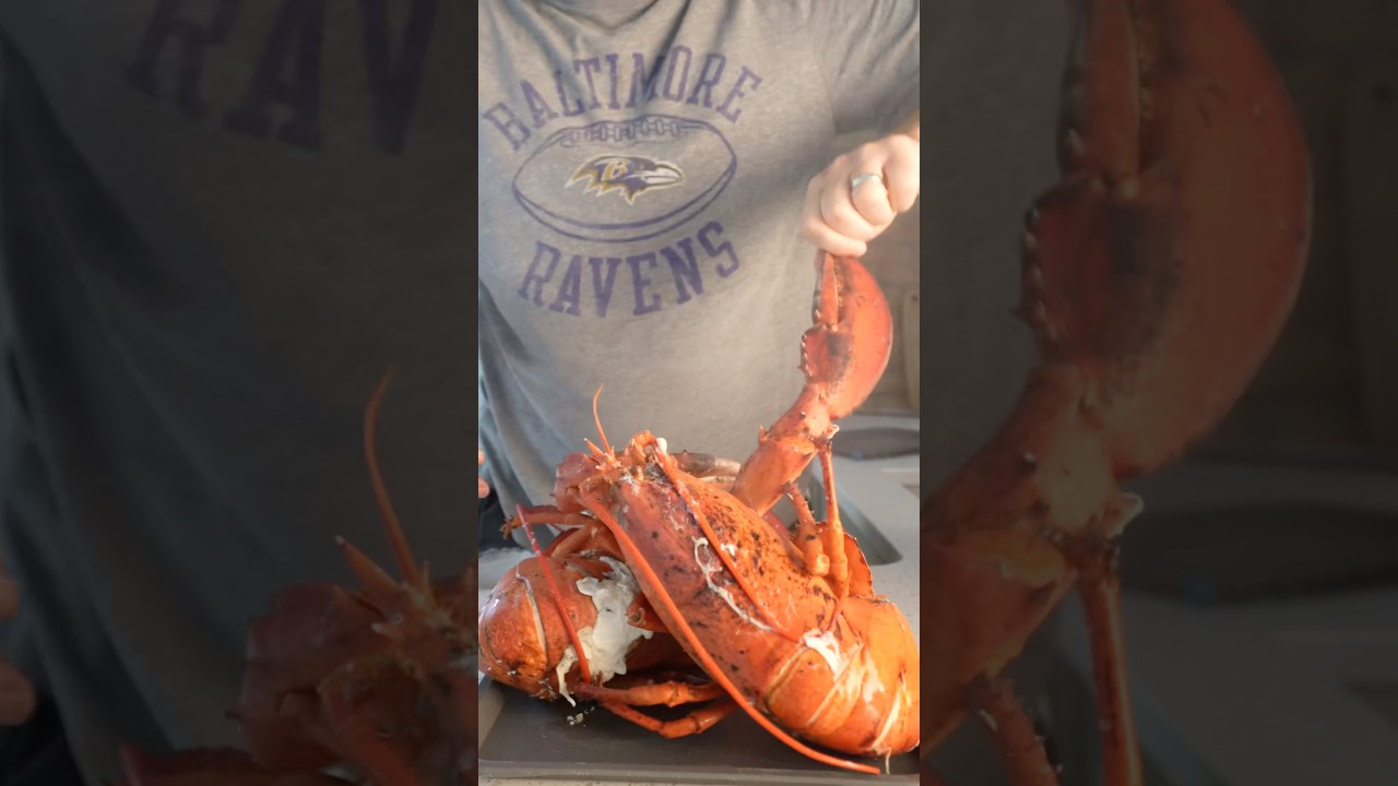 Омары за 93 доллара… Стоит ли это того?