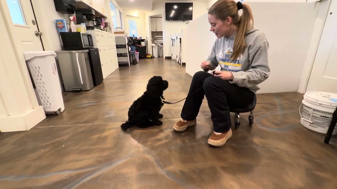 Вступление Себастьяна к фильму «Вспомнить» 2.18.26