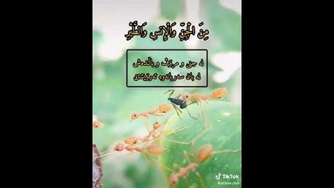 سورة النمل بصوت سعد الغامدي