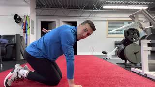 Quadruped Posterior Ribcage Expansion
