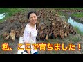 【国際カップル】外国人妻の実家の畑に初めて行ったら衝撃だった！【日越夫婦/国際カップル】（ジェムチャンネル）