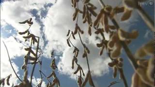 Explore More: Working Landscapes | Full Program