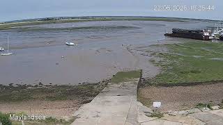 Weather & Tides - Maylandsea - Monday 22 June