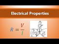 Electricity Basics Quiz