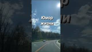 Как передать долг через родственника #анекдоты