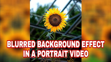Easy Blur Background Effect in a Portrait Video | Kinemaster Tutorial