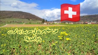 هل يتحدث السكان في سويسرا اللغة الانجليزية؟ على جانب النهر في سويسرا 🇨🇭 أجمل المناظر الطبيعية