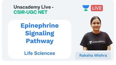 Epinephrine Signaling Pathway | Life Sciences | Unacademy Live - CSIR UGC NET | Raksha Mishra