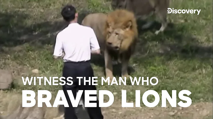 #Lion attacks Man! | #UntamedUncut | DiscoveryChan...