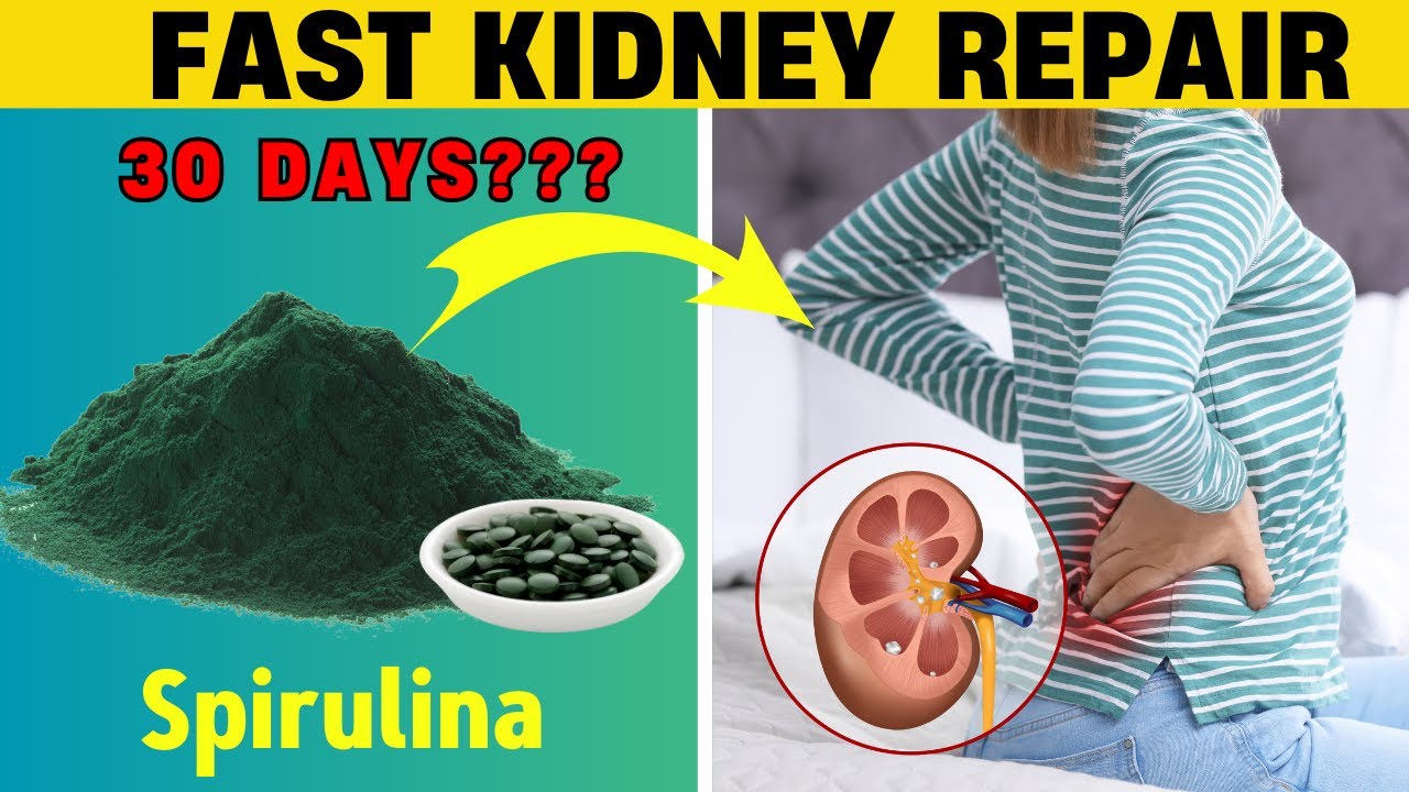 What Happens if Kidney Patients Consume Spirulina for 30 Days