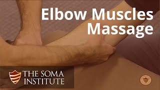 Palpation of Muscles that Move the Elbow