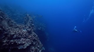 Eagle Ray Pass, Diving the Drop Off  Grand Cayman