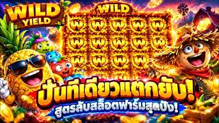 fibzy บินไม่พัก x1   WILD YIELD ฟาร์มหรรษามั้ยหล่ะมึงง 🤣 !!