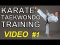 Karate Taekwondo Training - Video 1 - online course 2020