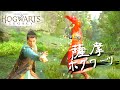 薩 摩 ホ グ ワ ー ツ 3 !ひえもんとり編|爆弾魔のホグワーツレガシーゆっくり実況その6