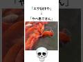 鯉に起きた悲劇
