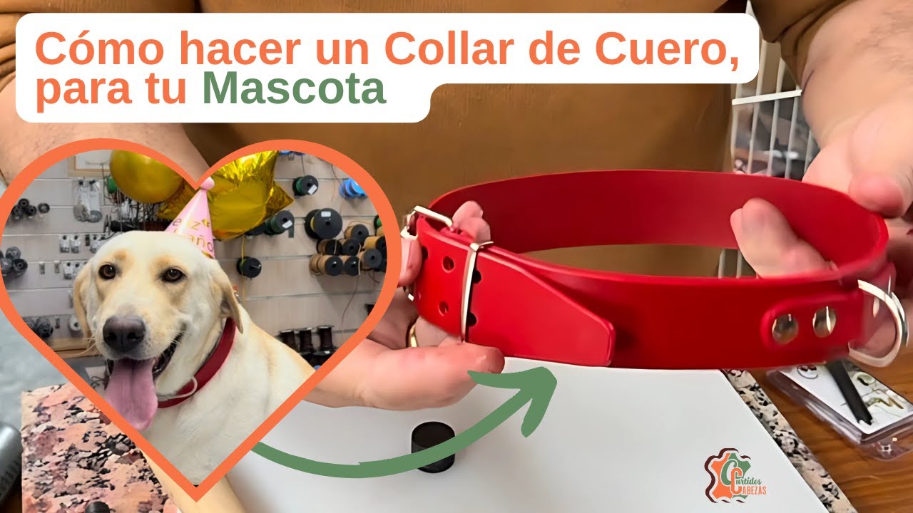 Cómo Hacer un Collar de Cuero Personalizado para Mascotas 🐾 | Proyecto DIY con Cuero de Alta Calidad