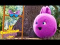 Особая бабочка - Солнечные зайчики | Сборник мультфильмов для детей