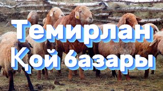 Темірлан мал базары | Темирлан қой базары