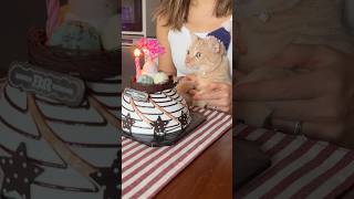all cats deserve a birthday cake