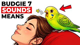 7 Sounds Your Budgie Makes — and What Each One Really Means