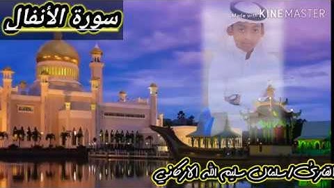 تلاوة القارئ/سلمان سليم الله الاركاني ماتيسر من سورة الأنفال