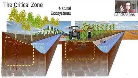 CZO Webinar: Coupled Root Exudate & Reactive Transport Modeling