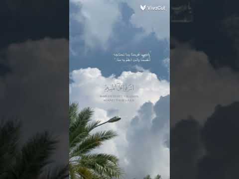 ١٩ يوليو ٢٠٢٥
