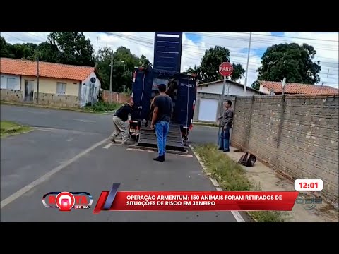 Operação Armentum: 150 animais foram retirados de situações de risco em janeiro 27 01 2026