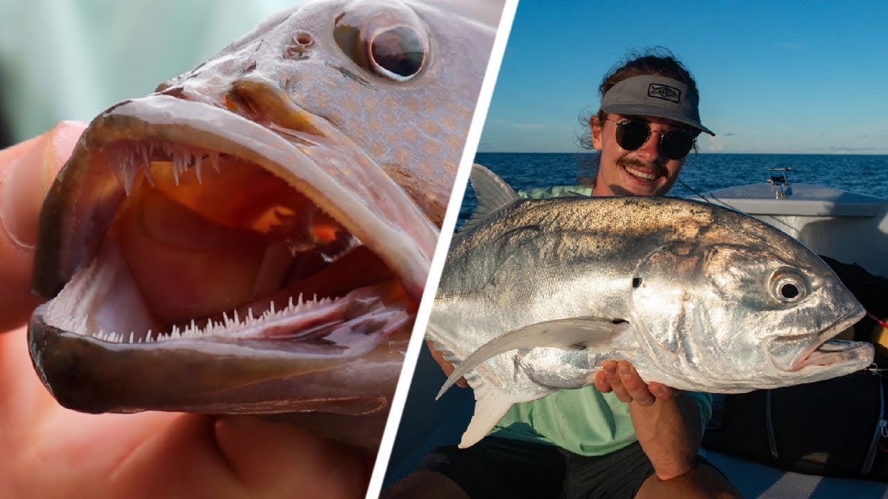 Light rock fishing in PANAMA! --  VLOG 23