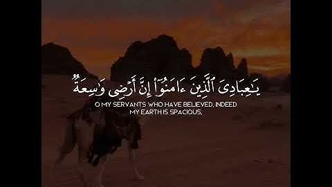 قرآن كريم بصوت خاشع ❤🌿 | حالات واتس اب دينية قصيرة  بصوت سعد ازويت 🎧💙
