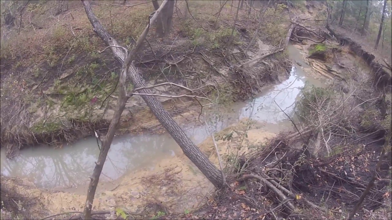 Hog Hunting in the "forbidden zone" 