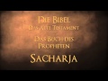 Das Buch Des Propheten Sacharja