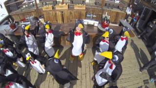 Moe Flex Snow Zone Penguin Style