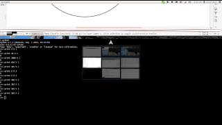 Celebrity Basic modular arithmetic in Python Wealth