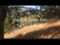 Exposed! Secrets from the Secret Garden!