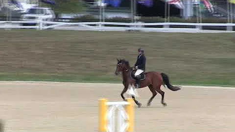 Video of ASPEN ridden by JENNIFER STOWE from ShowN...