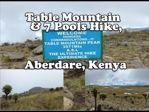 Table Mountain & 7 Ponds Hike, Aberdare, Kenya