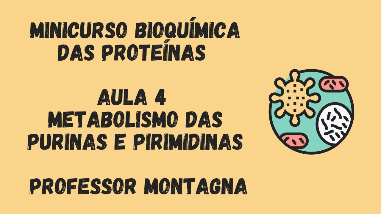 AULA 4 - MINI CURSO BIOQUÍMICA DAS PROTEÍNAS - PURINAS E PIRIMIDINAS PROFESSOR MONTAGNA