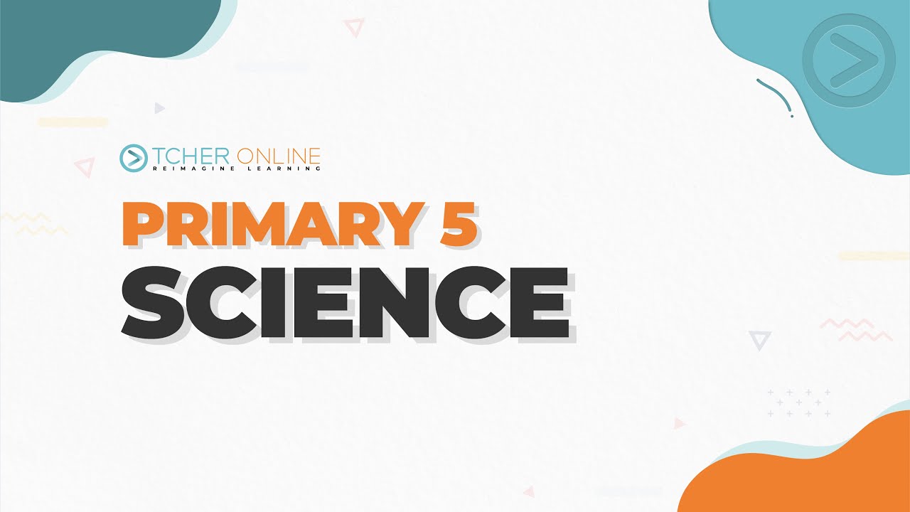 Human Body Systems - Skeletal and Muscular System | P5 Science | TCHER Online