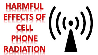 ShopFreeMart Gold Shield EMR Protection | Cell Phone Radiation | Mobile Phone Radiation