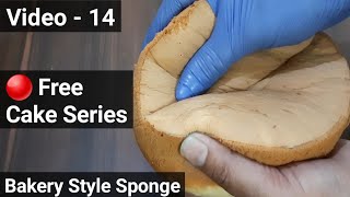 bakery style sponge recipe || Free basic to professional cake series screenshot 5