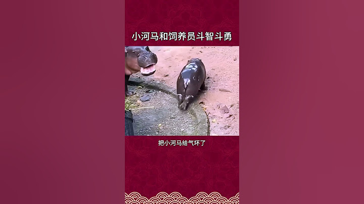 小河马和饲养员斗智斗勇