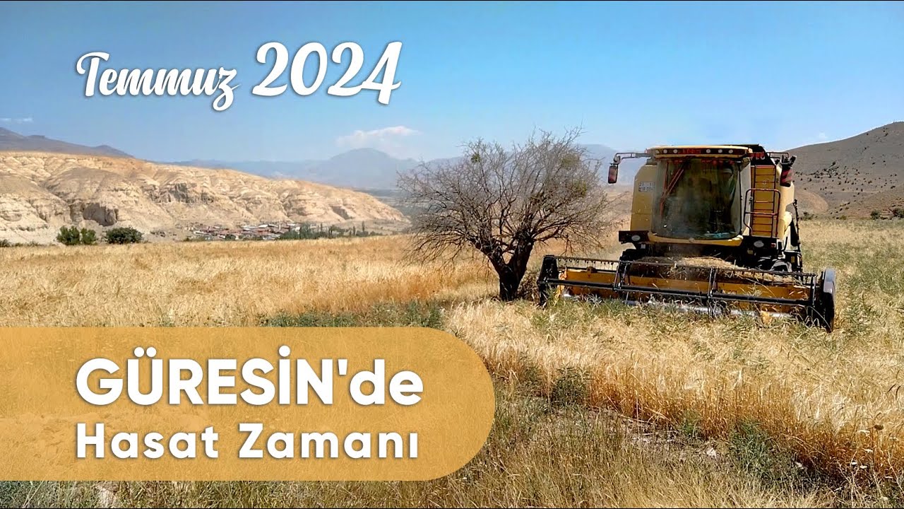 Güresin'de Hasat Zamanı -  Temmuz 2024
